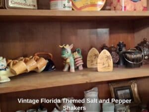 Vintage-Florida-Themed-Salt-and-Pepper-Shakers