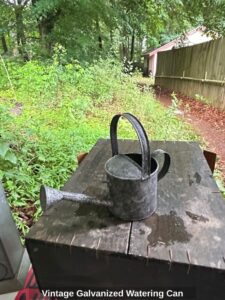 Vintage-Galvanized-Watering-Can