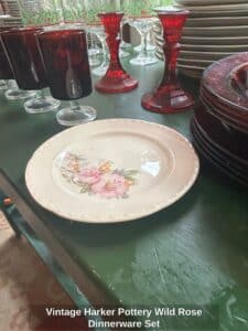 Vintage-Harker-Pottery-Wild-Rose-Dinnerware-Set-second-image