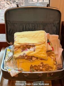 Vintage-Train-Case-Suitcase