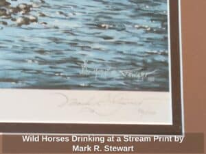 Wild-Horses-Drinking-at-a-Stream-Print-by-Mark-R.-Stewart-second-image