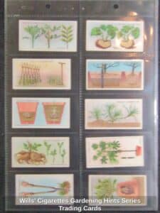 Wills-Cigarettes-Gardening-Hints-Series-Trading-Cards
