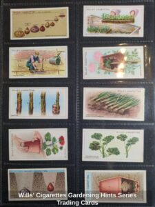 Wills-Cigarettes-Gardening-Hints-Series-Trading-Cards-fifth-image