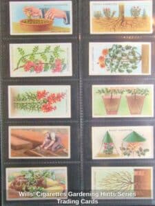 Wills-Cigarettes-Gardening-Hints-Series-Trading-Cards-third-image