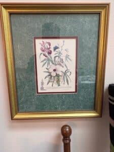 Set-of-Botanical-and-Butterfly-Prints-after-Pierre-Joseph-Redout