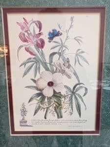 Set-of-Botanical-and-Butterfly-Prints-after-Pierre-Joseph-Redout-second-image