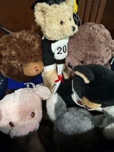Graduation-Teddy-Bear-Lot