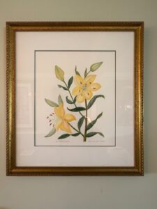 Lily-Testaceum-Watercolor-Painting-by-Arthur-Davison