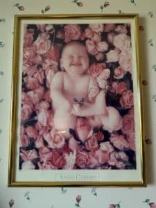 Anne-Geddes-Baby-in-Roses-Framed-Print