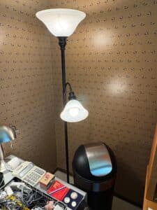 Dual-Head-Floor-Lamp-with-Frosted-Glass-Shades-and-Etched-Pattern