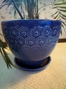 Parlor-Palm-in-Decorative-Blue-Ceramic-Pot-second-image