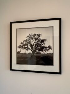 Ansel-Adams-Oak-Tree-Sunset-City-California-Framed-Art-Print