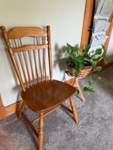 IMG_8517