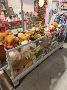 IMG_2721