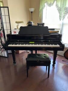 Fantastic Blue Moon  Sale:  Furniture,  Guitars, Guns, Decor, Outdoor Furniture, Piano, & More