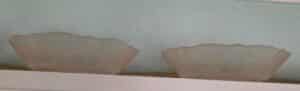 1000063841
