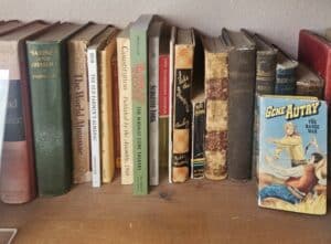 10054