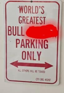 10232