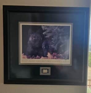 10768