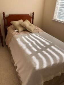 IMG_4649