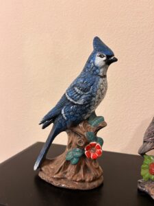 IMG_4761