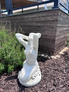 IMG_5645-1
