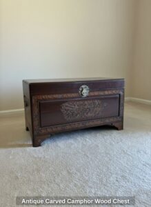 Antique-Carved-Camphor-Wood-Chest