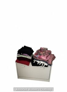 Assorted-Womens-Clothing