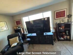 Large-Flat-Screen-Television-1