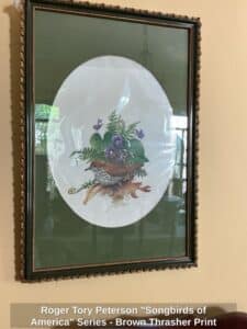Roger-Tory-Peterson-Songbirds-of-America-Series-Brown-Thrasher-Print