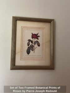 Set-of-Two-Framed-Botanical-Prints-of-Roses-by-Pierre-Joseph-Redout