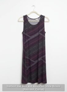 Stetson-Hat-Box-and-Assorted-Shoe-Boxes-Resistol-Corral-second-image