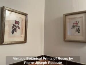 Vintage-Botanical-Prints-of-Roses-by-Pierre-Joseph-Redout