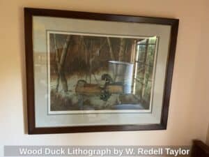 Wood-Duck-Lithograph-by-W.-Redell-Taylor