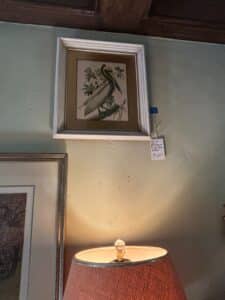 Brown-Pelican-Print-by-John-James-Audubon-Octavo-Edition