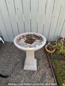 Ginkgo-Leaf-Pattern-Concrete-Bird-Bath