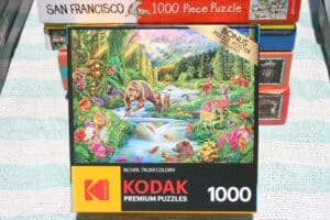 Kodak-Premium-Puzzles-Wild-Frontier-Piece-Jigsaw-Puzzle-by-Steve-Sundram-1