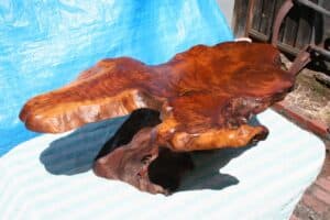 Redwood-Burl-Live-Edge-Coffee-Table-1