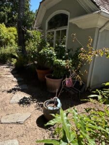 Assorted-Garden-Planters-and-Fruit-Trees-second-image