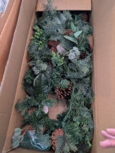 PXL_20260127_175847067.MP_