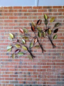 PXL_20260127_180510192.MP2_