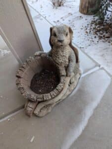 PXL_20260127_180528919.MP_