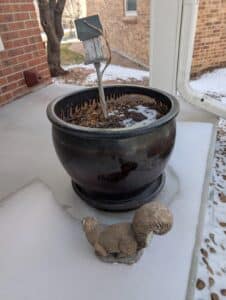 PXL_20260127_180559966.MP_