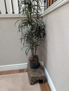 PXL_20260127_182206809.MP_