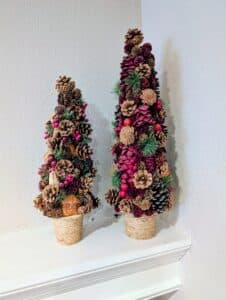 PXL_20260127_182453470.MP2_