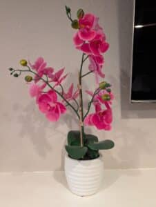 PXL_20260127_182821481.MP_