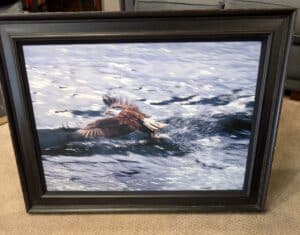 PXL_20260127_185443981.MP2_