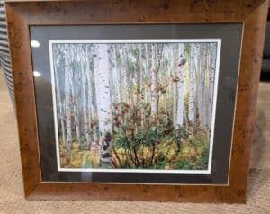 PXL_20260127_185607492.MP2_