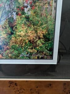 PXL_20260127_185613174.MP_