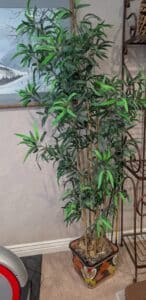 PXL_20260127_190151926.MP2_